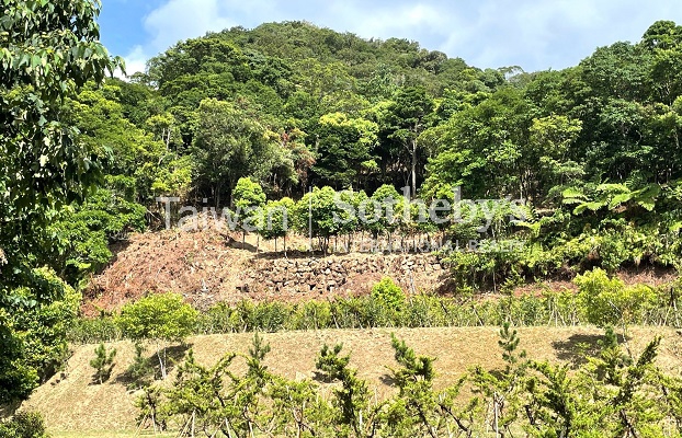 石碇月扇湖山林地現場實景